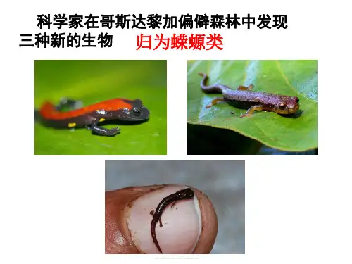 最新生物的命名和分类