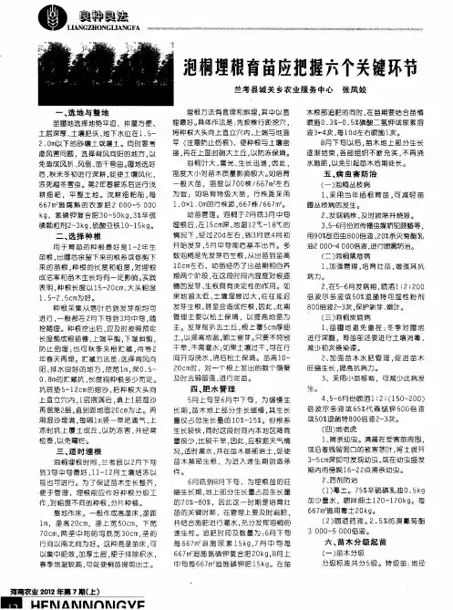 泡桐埋根育苗应把握六个关键环节