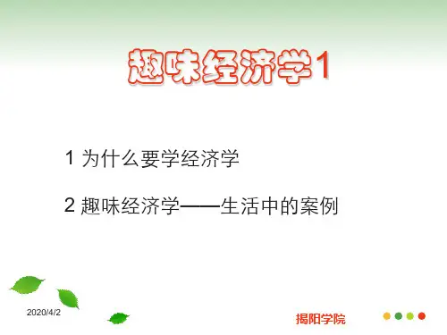 趣味经济学ppt课件