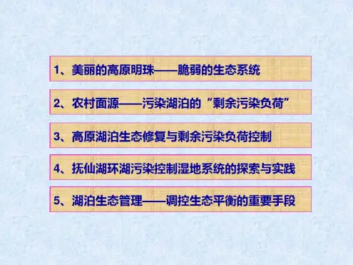 人工湿地课件