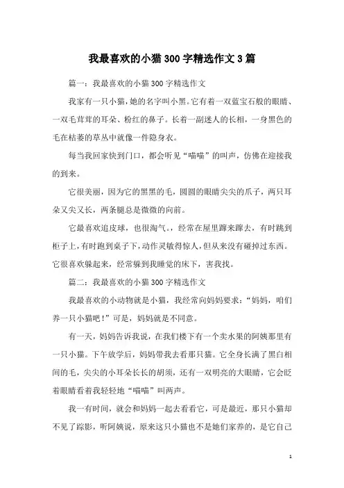 我最喜欢的小猫300字精选作文3篇