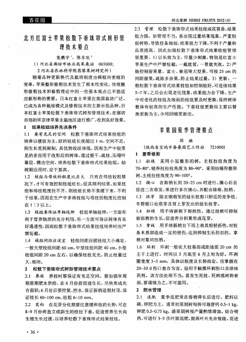 苹果园夏季管理要点