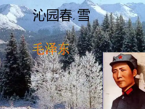 《沁园春雪》优秀赏析PPT课件