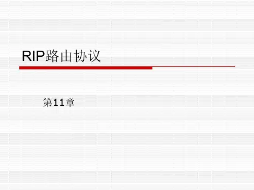 RIP路由协议学习