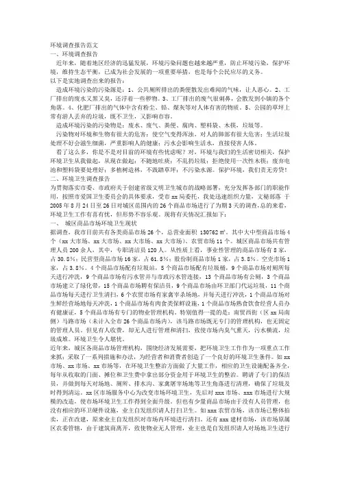 环境调查报告范文
