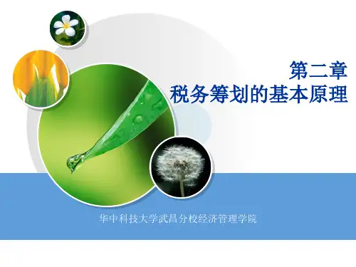 XX第二章税务筹划的基本原理.pptx