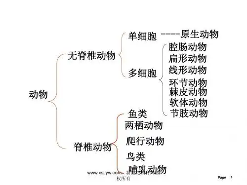 第5节常见的植物(第一课时种子植物)s