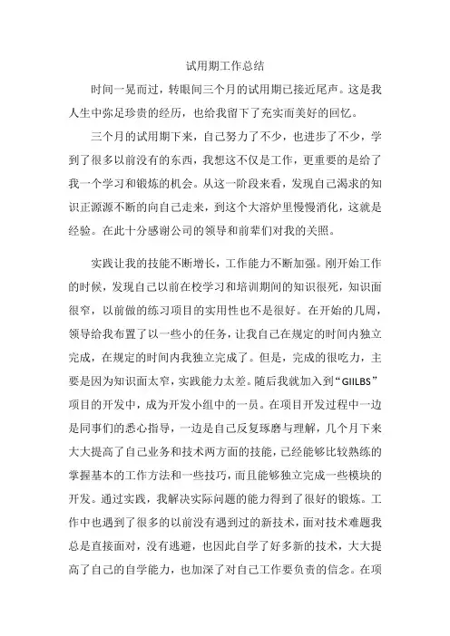 试用期转正申请工作总结