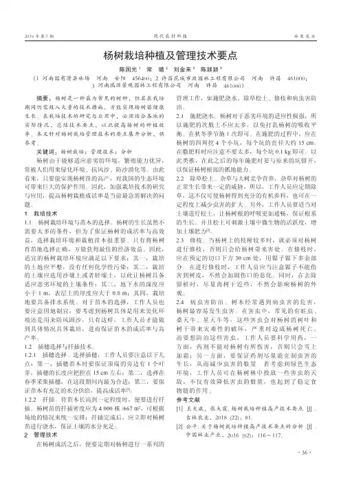 杨树栽培种植及管理技术要点