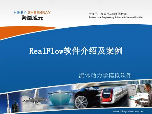 RealFlow软件介绍及案例分析