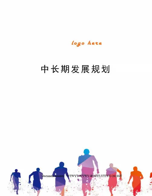 中长期发展规划