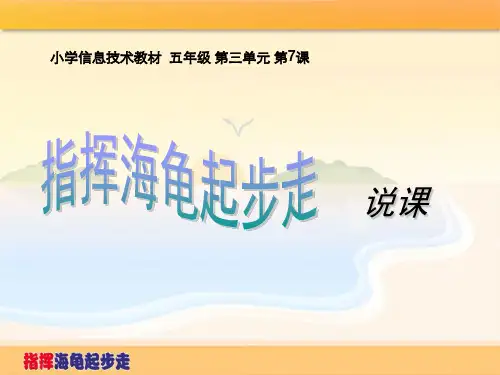 指挥海龟起步走说课ppt课件