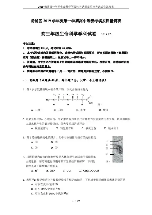 2019杨浦第一学期生命科学等级性考试质量监控考试试卷无答案