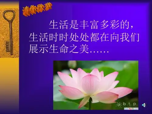 人教版初中语文高尔基海燕课件1