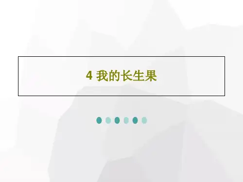 4 我的长生果26页PPT