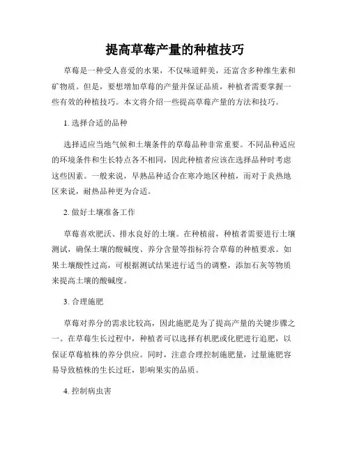 提高草莓产量的种植技巧