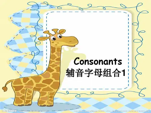 辅音字母组合发音