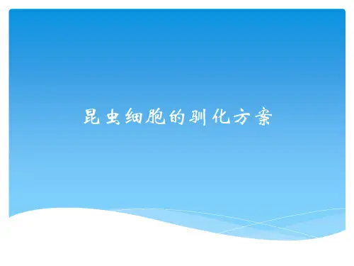 昆虫细胞的驯化方案