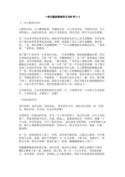 一次大胆的尝试作文500字