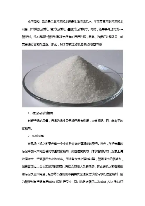 带式压滤机如何正确选用絮凝剂