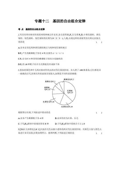 2019版高考生物一轮复习专题基因的自由组合定律