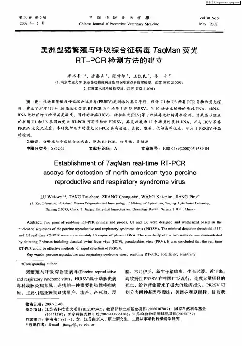 美洲型猪繁殖与呼吸综合征病毒TaqMan荧光RT—PCR检测方法的建立