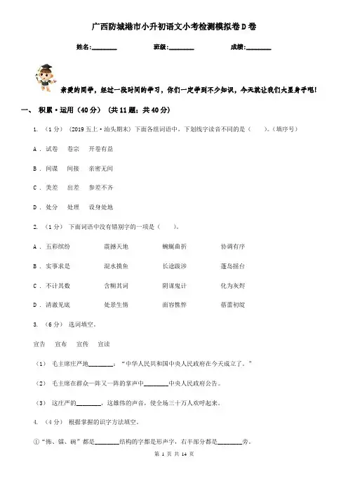 广西防城港市小升初语文小考检测模拟卷D卷