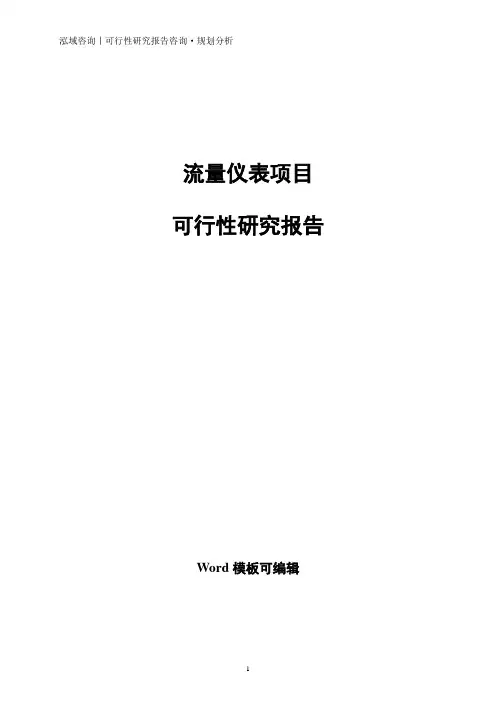 流量仪表项目可行性研究报告