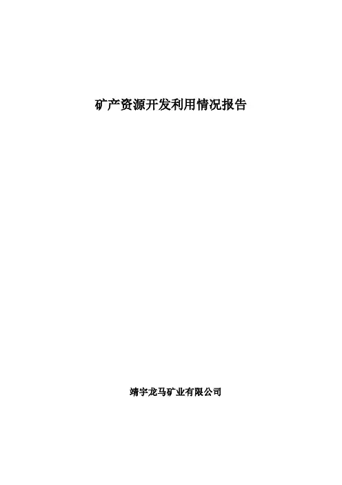 矿产资源开发利用情况报告
