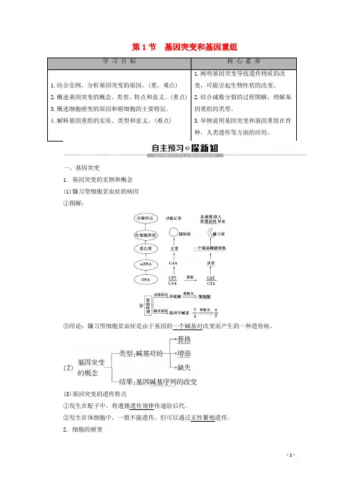 2020学年新教材高中生物 第5章 基因突变及其他变异 第1节 基因突变和基因重组教学案 新人教版必修第二册