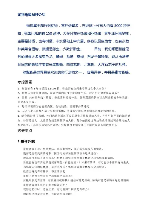 宠物蜥蜴
