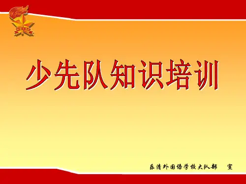 少先队队干部培训