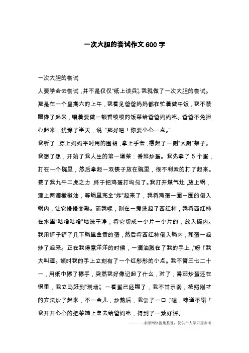 一次大胆的尝试作文600字