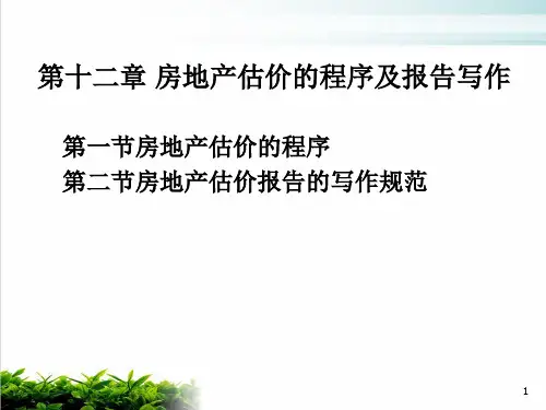 房地产估价的程序及报告写作技巧模版(PPT20张)
