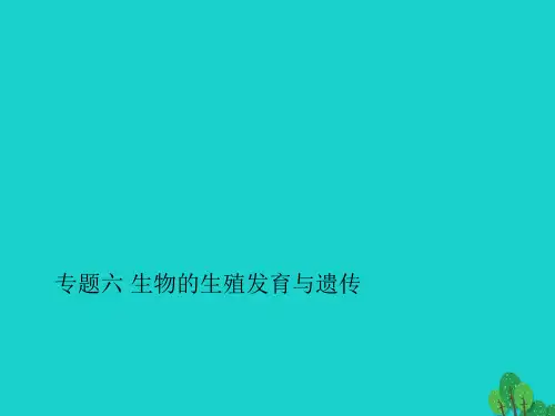 中考生物第二轮专题突破篇专题六生物的生殖发育与遗传课件