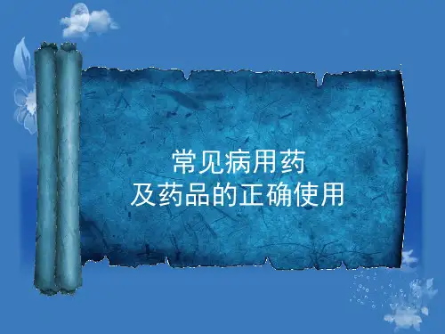 常见病用药