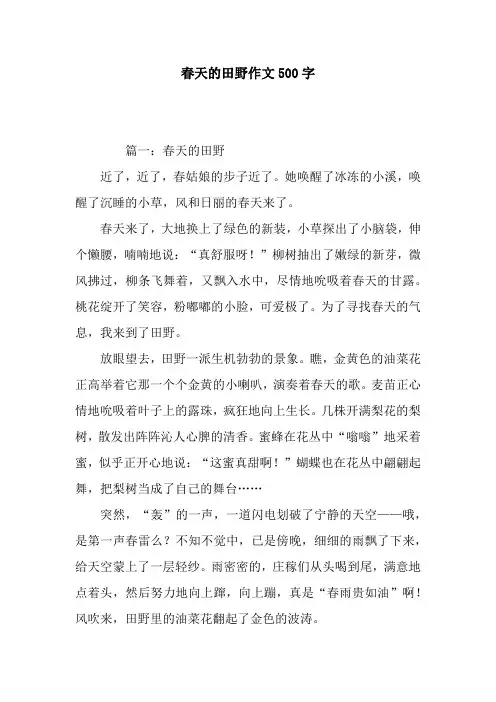 春天的田野作文500字