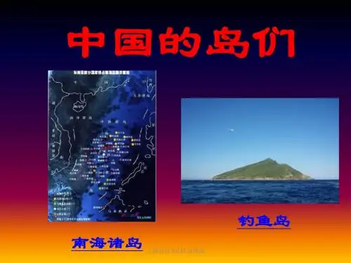 PPT 大作业 2010010274