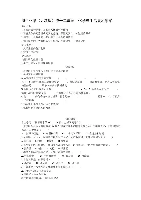 初中化学(人教版)第十二单元  化学与生活复习学案
