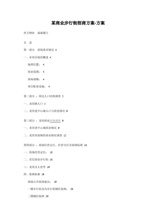某商业步行街招商方案-方案