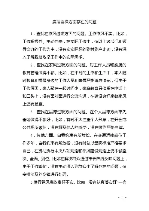 廉洁自律方面存在的问题 2
