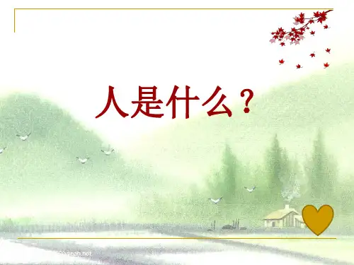人是一根能思想的苇草_课件