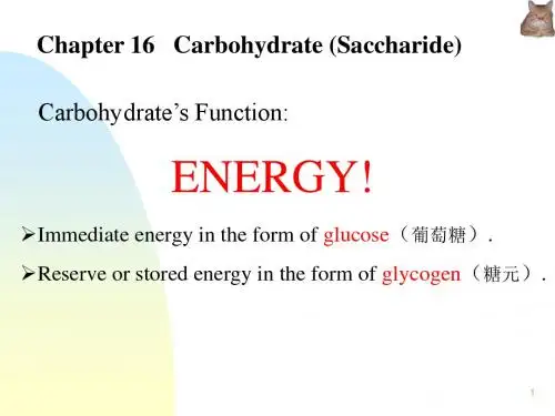 有机化学Chap.16 carbohydrate(7)