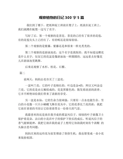 观察植物的日记300字5篇