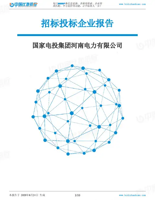国家电投集团河南电力有限公司-招投标数据分析报告