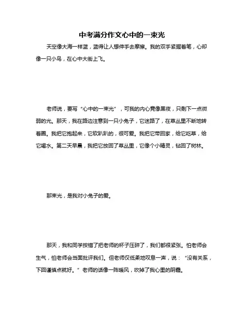 中考满分作文心中的一束光