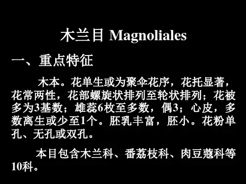 2.木兰科