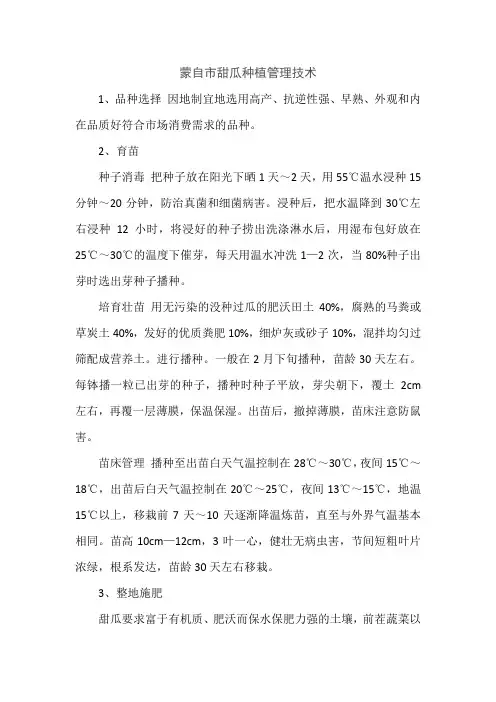 蒙自市甜瓜种植管理技术