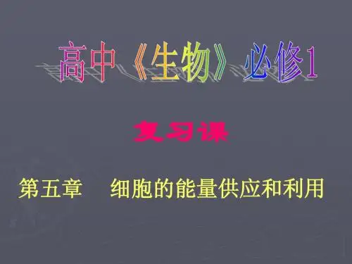 人教版教学课件广东省梅州中学高中生物 第5章复习课件(必修1)