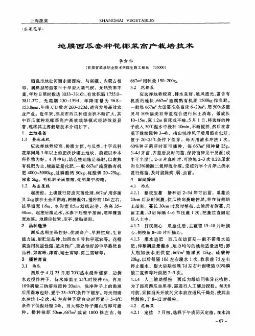 地膜西瓜套种花椰菜高产栽培技术